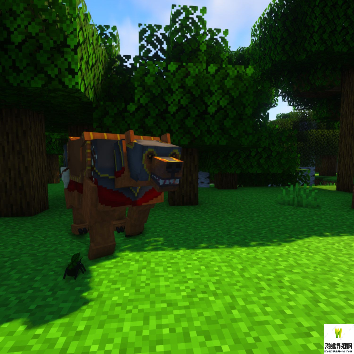 ec_forest_1_2.jpg