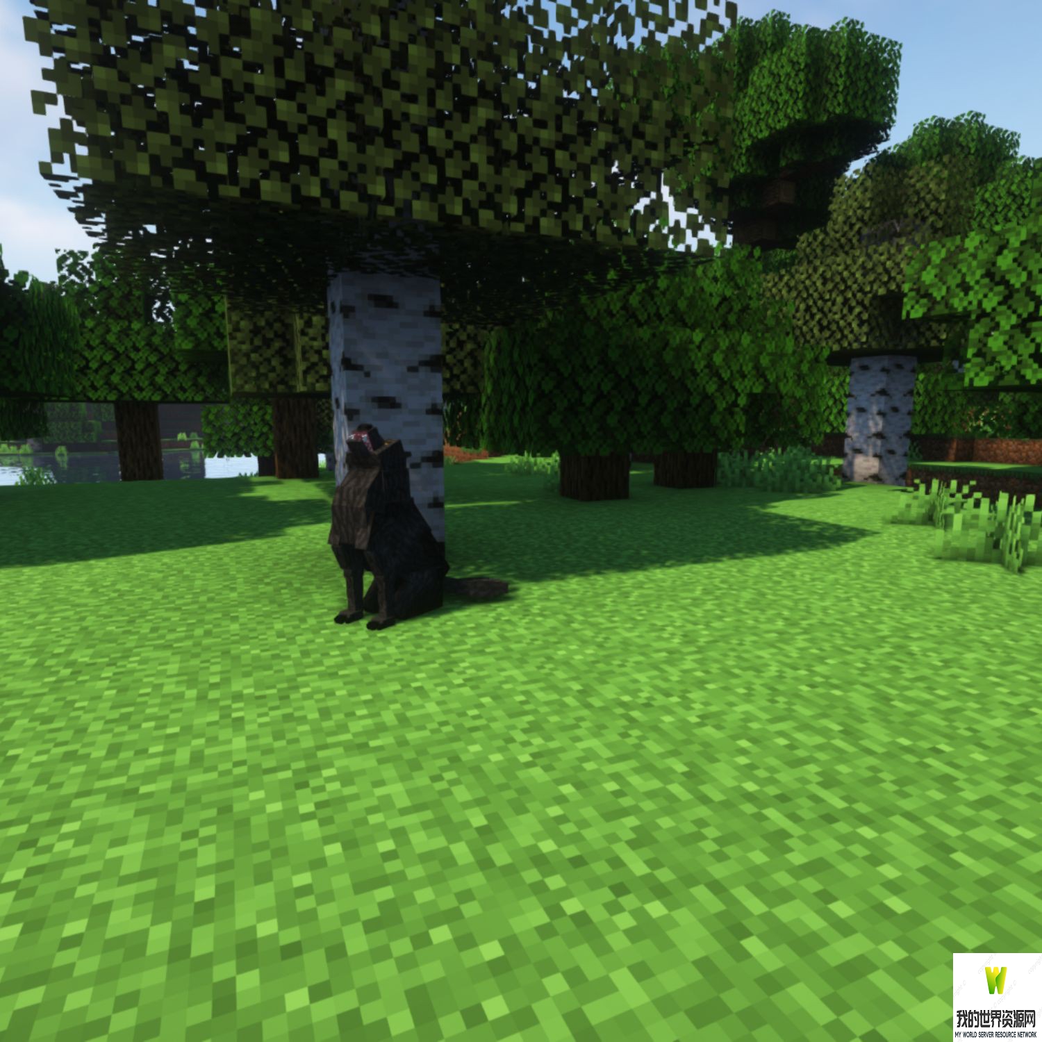 ec_forest_1_5.jpg