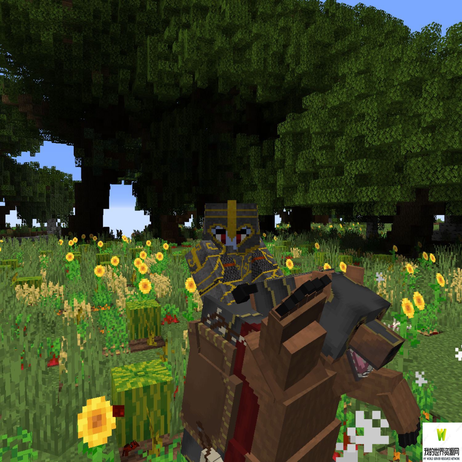 ec_forest_1_7.jpg